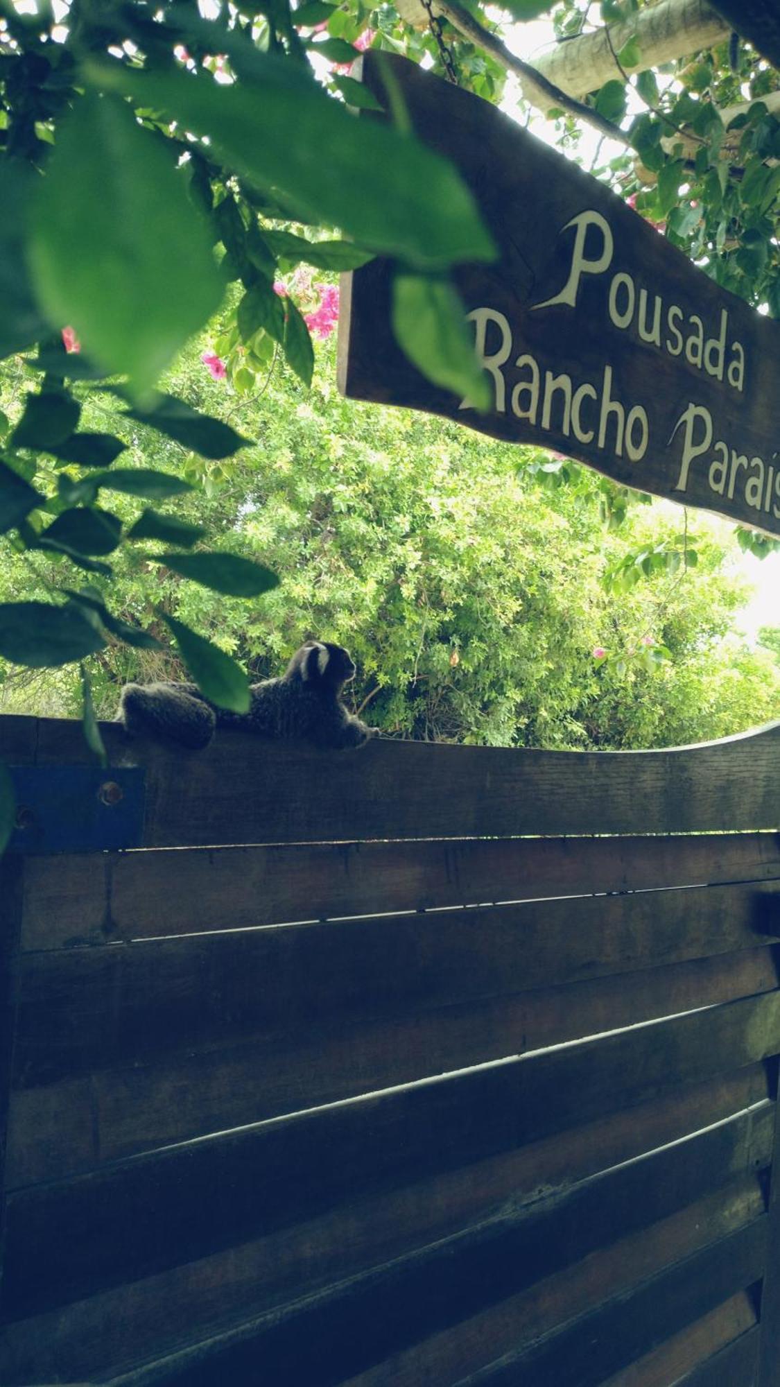 Pousada Rancho Paraiso Pôrto de Pedras Exterior foto